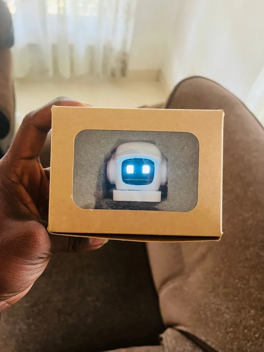 Mochi Companion Robot